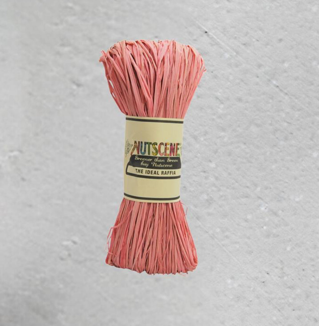 Nutscene Raffia 50g
